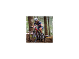 LOOK X-TRACK RACE CARBON TI