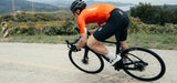 Q36.5 Gregarius Pro Bib Short
