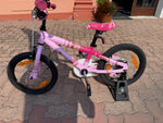 SCOTT CONTESSA 16 JUNIOR