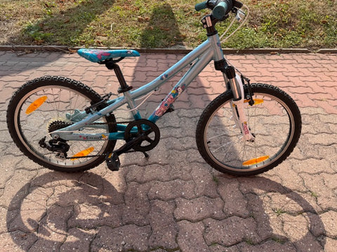 SCOTT CONTESSA JR 20