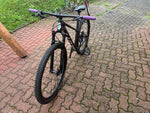 SCOTT SCALE RC TEAM 2022
