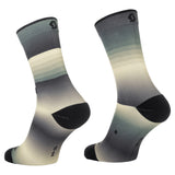SCOTT GRADIENT STRIPES CREW
