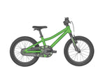 SCOTT ROXTER 16 2022