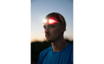 KNOG BILBY RUN GRAPE